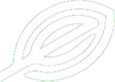 Elevate Holistics
